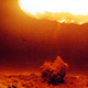 Image for article titled How to Hide a Nuclear Missile